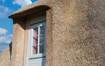 Pinvin thatch roof disadvantages